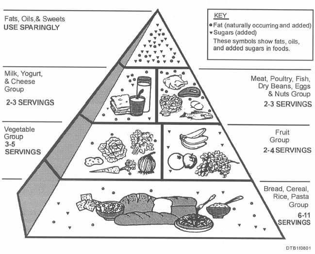 Blank Food Pyramid Chart