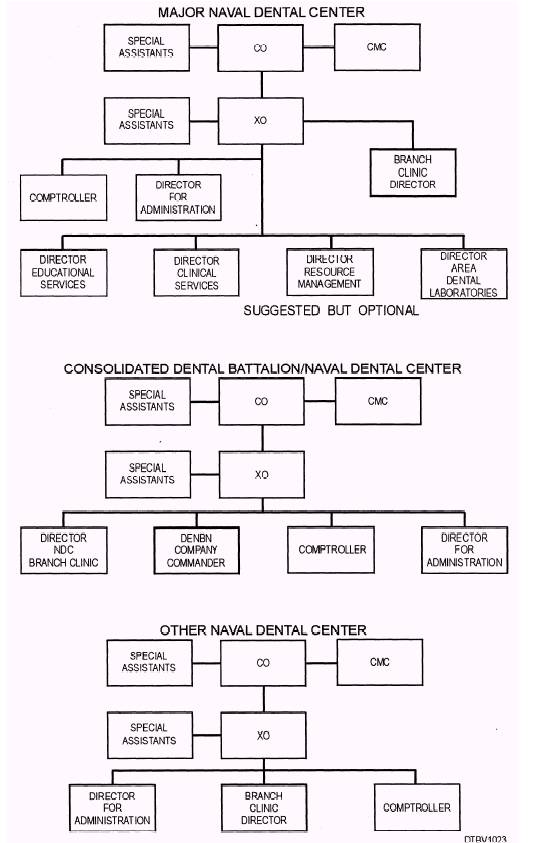 Dental Clinic Organizational Chart