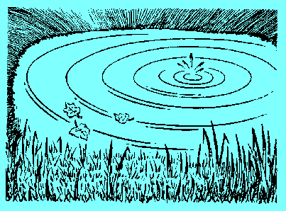 NTX1-1.GIF (10650 bytes)